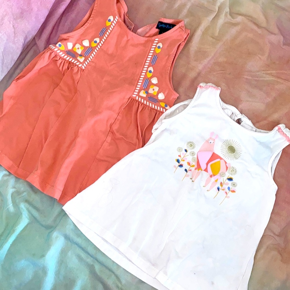 Toddler girls 2 piece shirts